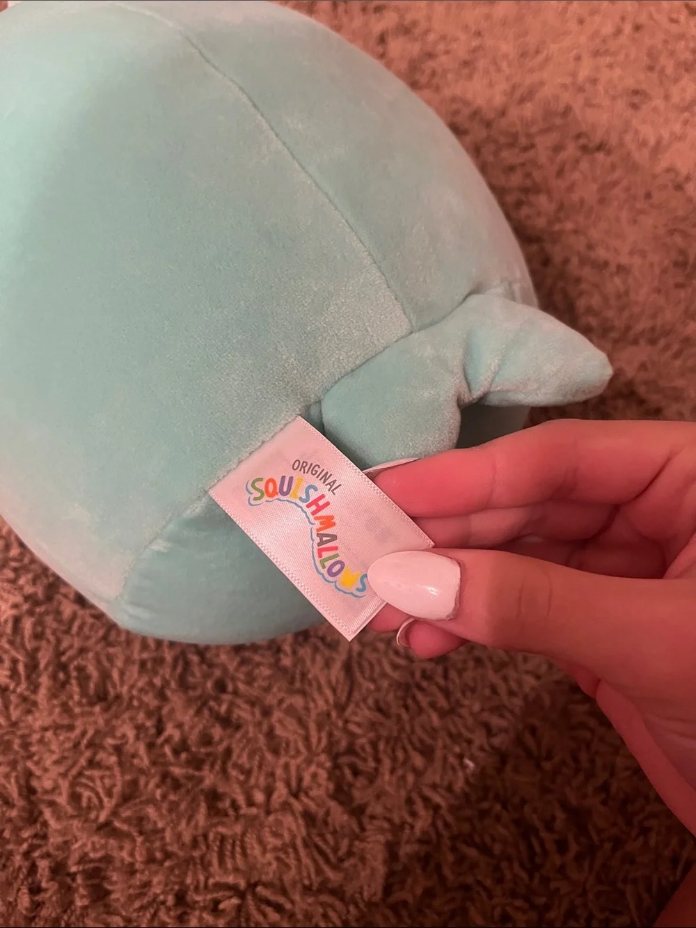 Squishmallows Aqua and White Sea Turtle with Red Surfboard